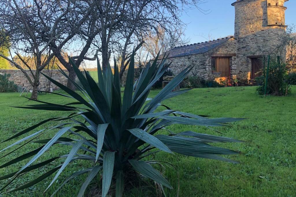 At El Manzano - Jardin & Bbq - Los Gayoles Rural Castropol Buitenkant foto